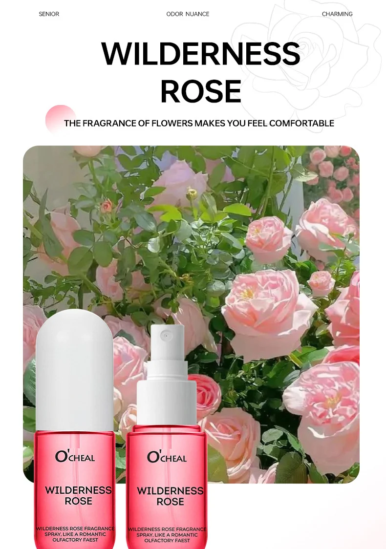 Long Lasting Perfume Spray for Women, Wilderness Rose & Coconut Vanilla Fragrance, 70g 14 long lasting perfume spray wilderness rose coconut vanilla sit xkrswgwu desc 14
